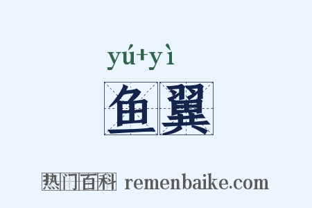鱼翼是什么意思的图片